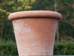 Terracotta pot Poggi Ugo, Vaso Camelia 40 cm