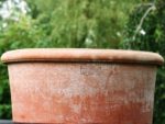 Terracotta pot Poggi Ugo, Cilindro Basso con Orlo